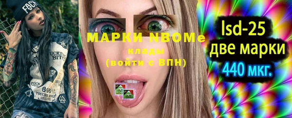 прущие грибы Абинск