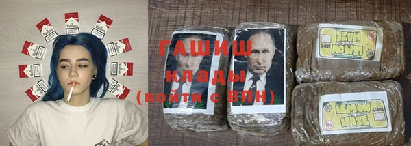 прущие грибы Абинск