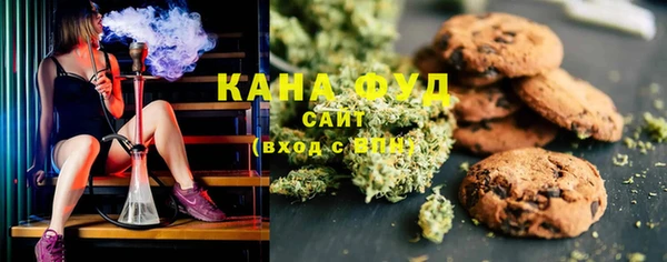 гидра Горняк