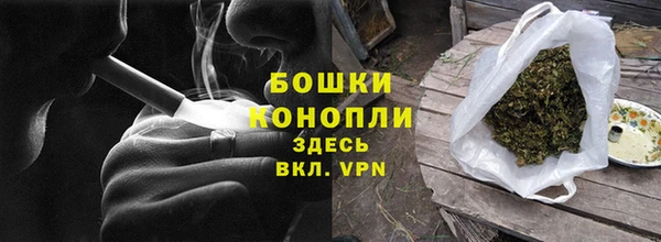 прущие грибы Абинск