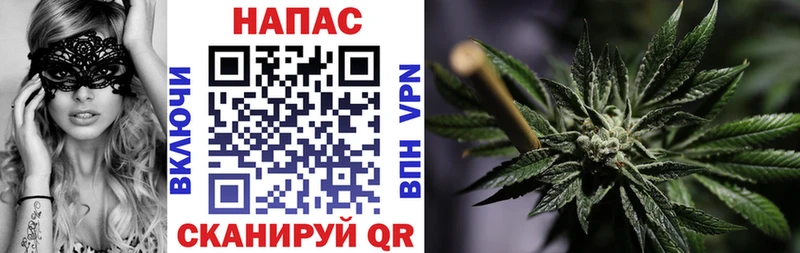 hydra как войти  Шарья  Марихуана планчик 